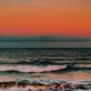 Meet your Posher, Sienna